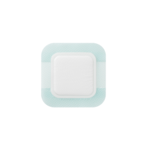 Biatain Silicone Fit