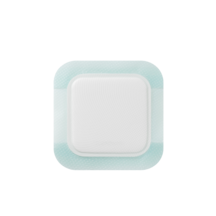 Biatain Silicone Fit