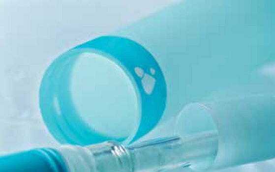 Wellness education: The basics of intermittent self-catheterization